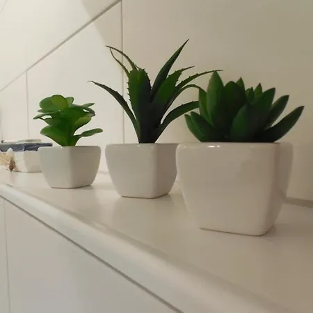 Too Huus Apartment *